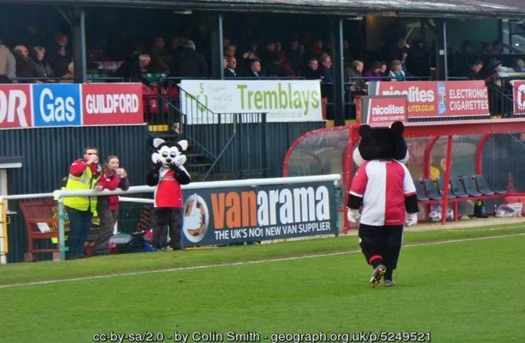 Linh vật K.C. Kat của Woking FC, niềm tự hào của cộng đồng người hâm mộ tại Kingfield Stadium.
